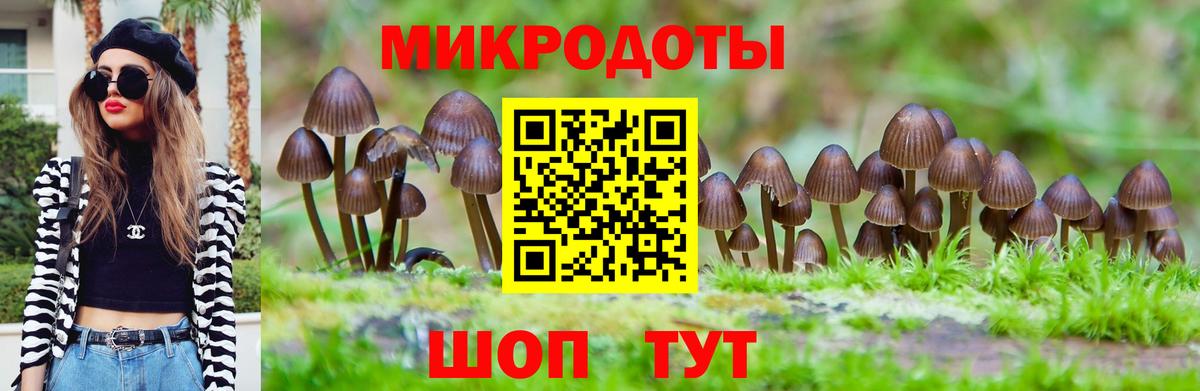 Советский  Галлюциногенные грибы Cubensis  Псилоцибиновые грибы MAGIC MUSHROOMS  Вход с VPN 